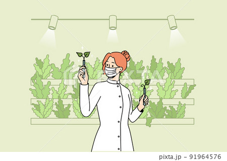 Scientist working with plants in greenhouse Scientist working with plants in greenhouse 91964576