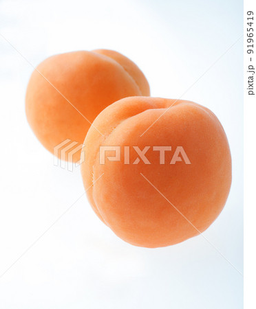 あんず あんず 91965419