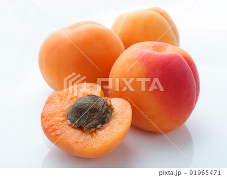 あんず あんず 91965471