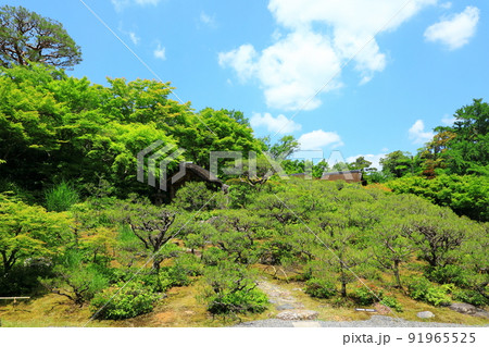 京都嵯峨野　初夏の大河内山荘庭園 91965525