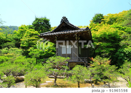 京都嵯峨野　初夏の大河内山荘庭園 91965598