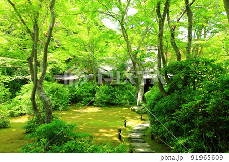 京都嵯峨野　初夏の大河内山荘庭園 91965609