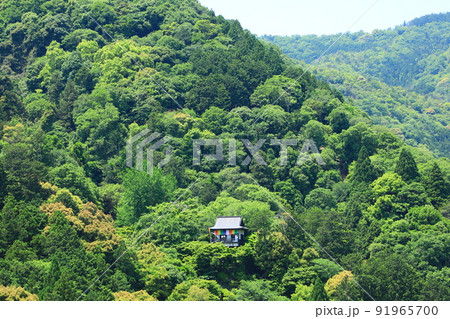 京都嵯峨野 初夏の大河内山荘庭園 京都嵯峨野 初夏の大河内山荘庭園 91965700