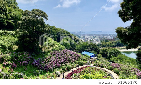満開の紫陽花［形原温泉あじさいの里(アジサイガーデン)/愛知県蒲郡市］ 91966170