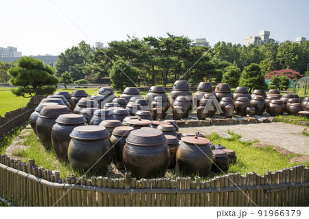 自然 風景 景色 91966379