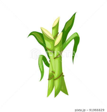 sugar cane cartoon vector illustration sugar cane cartoon vector illustration 91966829