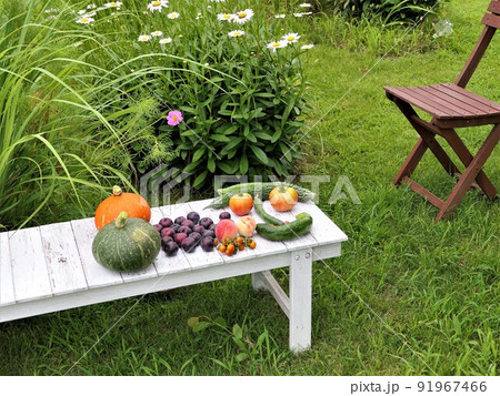 夏野菜と果物と草花 夏野菜と果物と草花 91967466