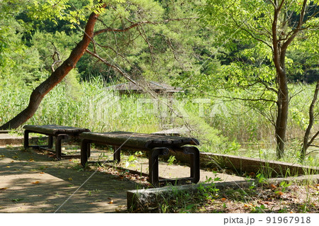 木陰の古いベンチ 91967918