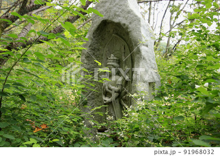 白萩咲く大悲願寺 白萩咲く大悲願寺 91968032