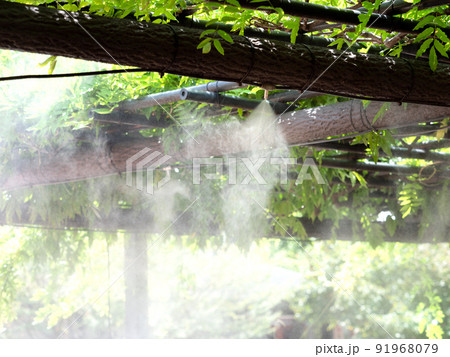 ドライミストの発生装置 ドライミストの発生装置 91968079