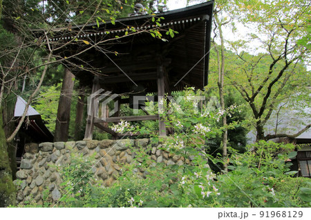 白萩咲く大悲願寺 91968129