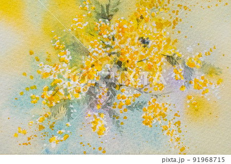 ミモザ 水彩画 のイラスト素材 [91968715] - PIXTA