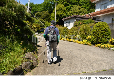 高齢者のウォーキング 91968950