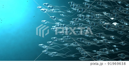 Many sperm cells, slightly transparent, scientifically correct moving forward on blue background - 3d illustration Many sperm cells, slightly transparent, scientifically correct moving forward on blue background - 3d illustration 91969638