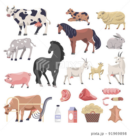 Cattle cows and horses, sheep and goats farms 91969898