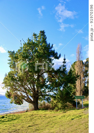 ニュージーランド タウポ湖 ・Halletts Bay ・ Paka bay New Zealand ニュージーランド タウポ湖 ・Halletts Bay ・ Paka bay New Zealand 91970396