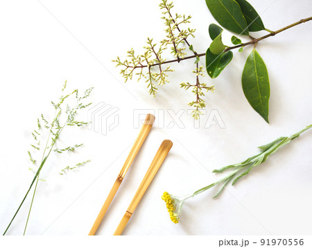 白背景　茶道具　植物 91970556