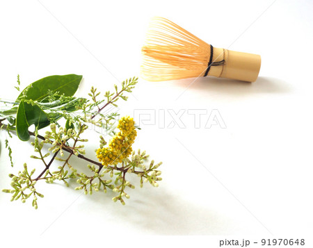 白背景　茶道具　植物 91970648
