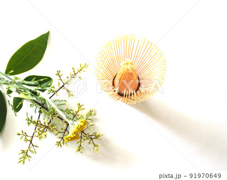 白背景 茶道具 植物 白背景 茶道具 植物 91970649