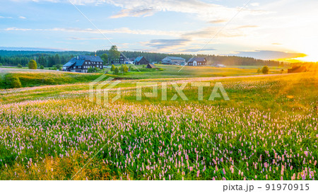 Summer meadow at sunset time 91970915