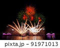 Beautiful fireworks in the night sky. 91971013