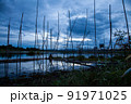 Traditional fishing tool or bamboo fish trap on sunset light, landscape silhouette. 91971025