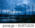 Traditional fishing tool or bamboo fish trap on sunset light, landscape silhouette. 91971026