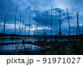Traditional fishing tool or bamboo fish trap on sunset light, landscape silhouette. 91971027