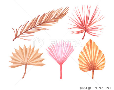 Dried tropical palm leaves set. Pastel watercolor floral template isolated collection for wedding wreath, bouquet frames, decoration design elements. 91971191