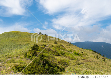 爽やかな富士見台高原 爽やかな富士見台高原 91972287