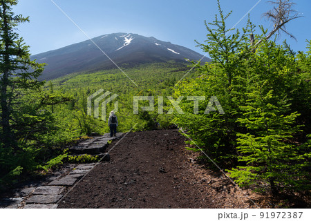 五合目から眺める富士山 91972387