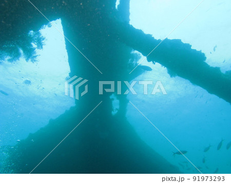 バリ島ダイビング バリ島ダイビング 91973293