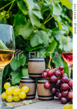 Winery concept. Miniature wine barrels, glasses with white and red wine and grape berries on the wooden table on background of vineyards. Wine tasting, Degustation. Vertical card, copy space. 91973769