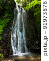 島根県鹿足郡吉賀町の平栃の滝 91973876