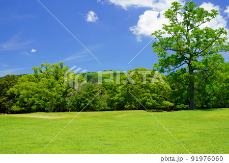 梅雨明けの日・爽やかな奈良公園・飛火野 梅雨明けの日・爽やかな奈良公園・飛火野 91976060