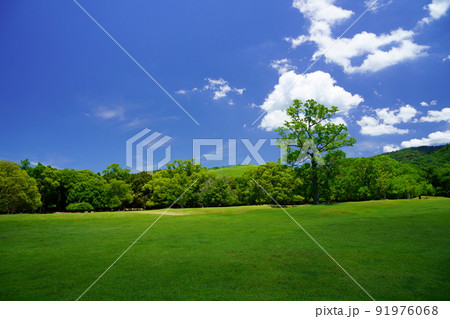 梅雨明けの日・爽やかな奈良公園・飛火野にかかる雲の影 91976068