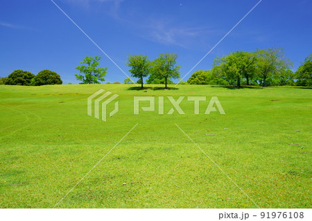 奈良公園・緑の丘・飛火野・梅雨明けの日 奈良公園・緑の丘・飛火野・梅雨明けの日 91976108