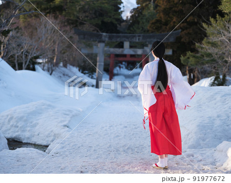 参道を歩く巫女さんの後ろ姿 参道を歩く巫女さんの後ろ姿 91977672