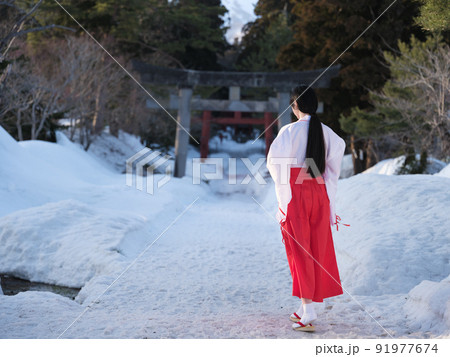 参道を歩く巫女さんの後ろ姿 参道を歩く巫女さんの後ろ姿 91977674