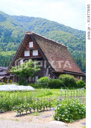 白川郷・世界遺産（岐阜県・白川村） 91977690