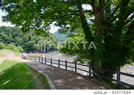 白川郷・庄川(岐阜県・白川村) 白川郷・庄川(岐阜県・白川村) 91977694