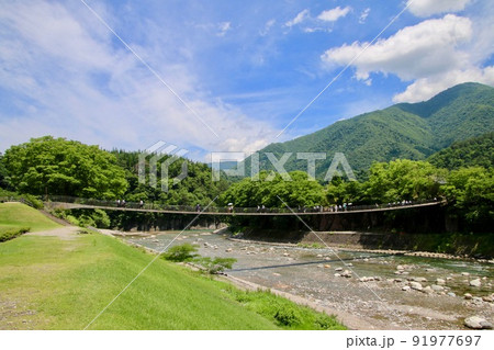 白川郷・庄川(岐阜県・白川村) 白川郷・庄川(岐阜県・白川村) 91977697