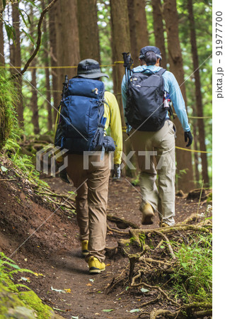 トレッキングを楽しむ女性たち 91977700