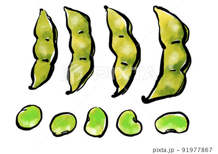 枝豆 えだまめ の手書きイラスト 筆書き墨絵風 のイラスト素材