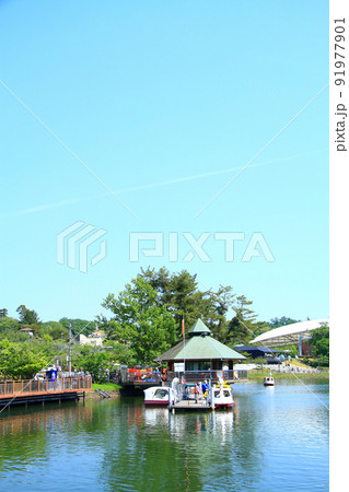 豊田市、家族連れで賑わう鞍ヶ池公園の風景 91977901