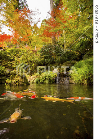 秋 紅葉 彩りある色彩豊か 鮮やかな風景 秋 紅葉 彩りある色彩豊か 鮮やかな風景 91978065