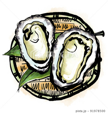 「岩牡蠣（いわがき）」の手書きイラスト（筆書き墨絵風） 91978500