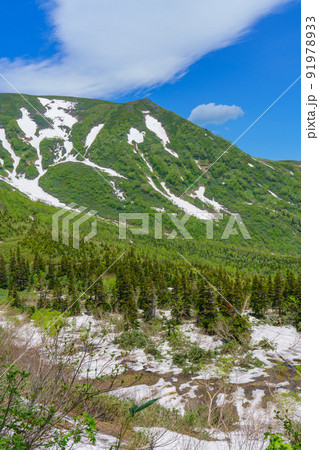 白馬 残雪期栂池自然 白馬 残雪期栂池自然 91978933