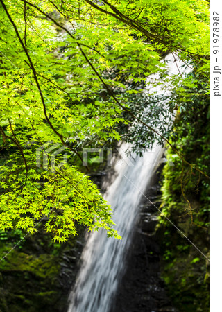 《岐阜県》飛騨金山 横谷峡四つの滝 白滝 《岐阜県》飛騨金山 横谷峡四つの滝 白滝 91978982