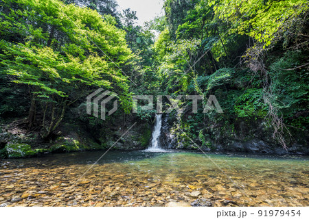 《岐阜県》飛騨金山 横谷峡四つの滝 紅葉滝 《岐阜県》飛騨金山 横谷峡四つの滝 紅葉滝 91979454